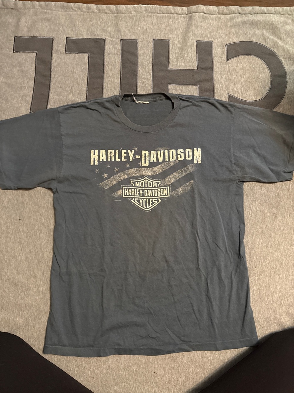 Harley-Davidson Dark Gray Short Sleeve Logo Tee